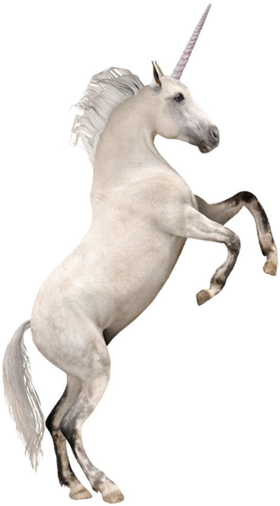 unicorn logo